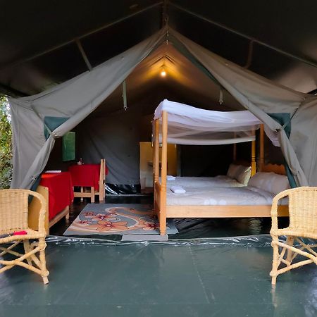 塔乐克丛林露营地，马赛马拉 Talek 外观 照片