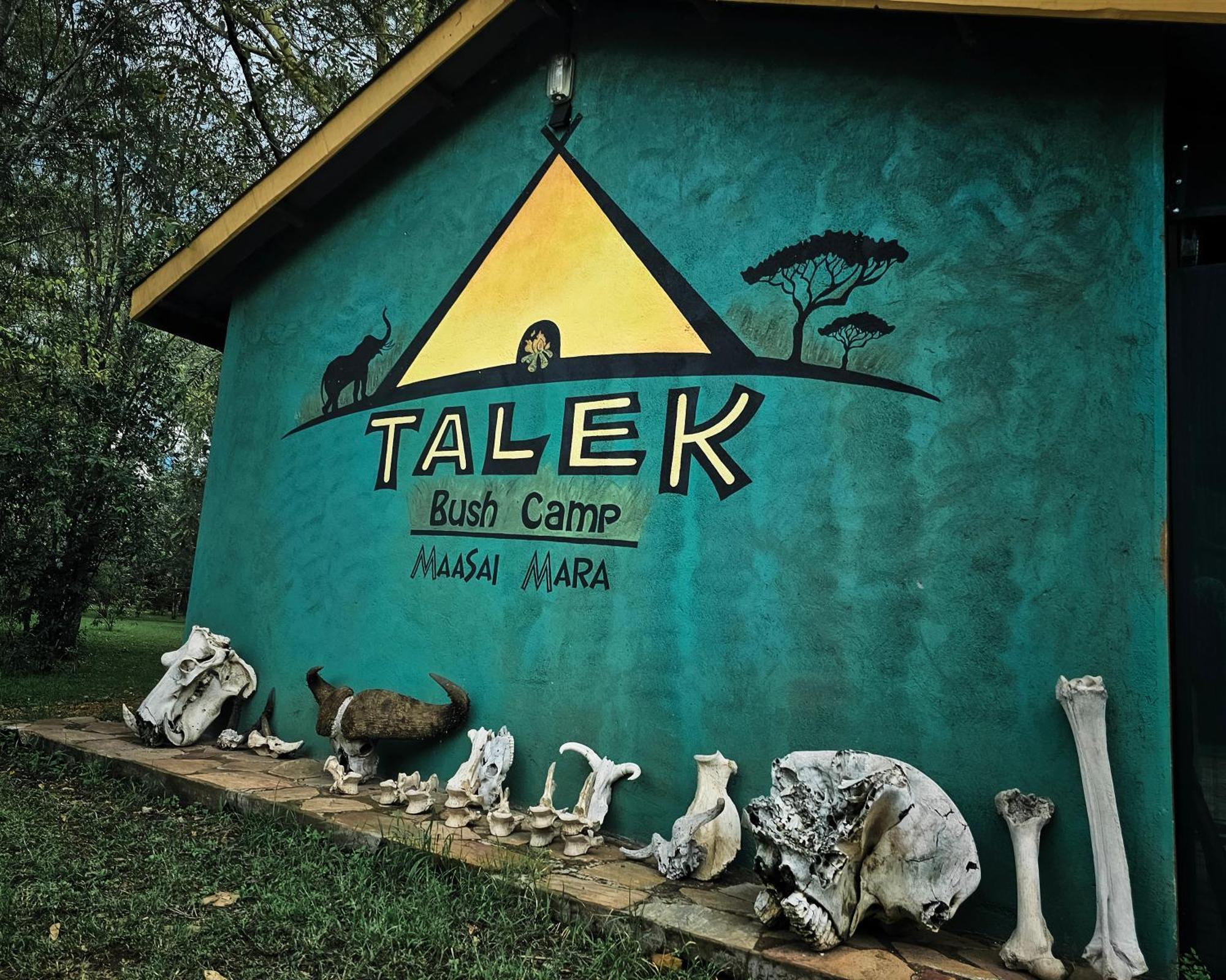 塔乐克丛林露营地，马赛马拉 Talek 外观 照片